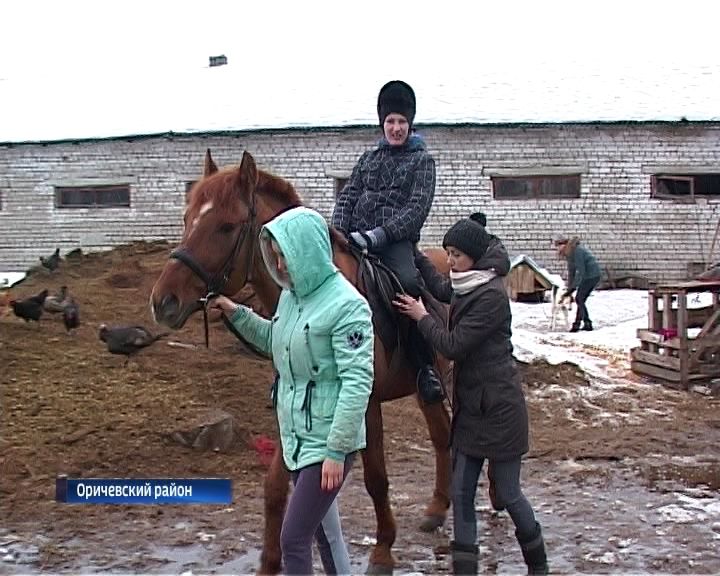 В Кировской области появилась ферма, на которой живут лошади-врачеватели