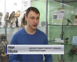 Выставка "Синичкина семья" в Кировском городском зоологическом музее