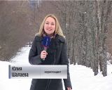 Выставка "Синичкина семья" в Кировском городском зоологическом музее