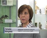 Выставка "Синичкина семья" в Кировском городском зоологическом музее