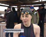 Моржи устроили заплывы на скорость в студёной воде