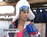 Моржи устроили заплывы на скорость в студёной воде