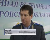 Совещание в кировском управлении ветеринарии о ситуации по гриппу птиц