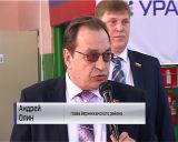 Победа баскетболистов кирсинской детско-юношеской спортшколы