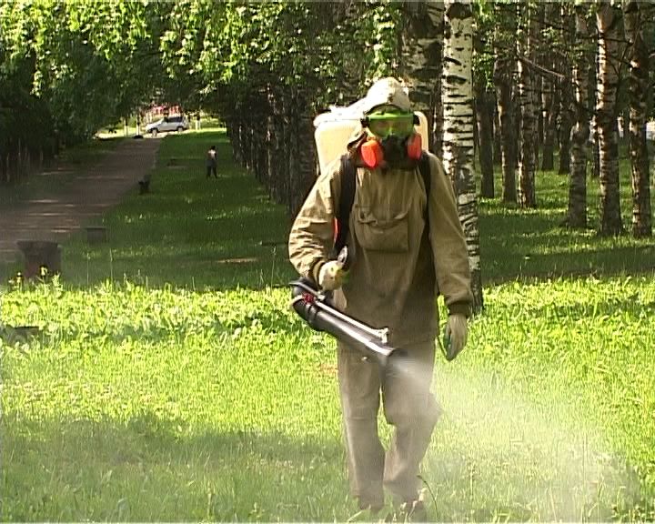 В Кирове зафиксирован первый случай 