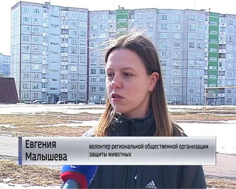 Волонтеры-зоозащитники спасли от верной смерти собаку с редким заболеванием