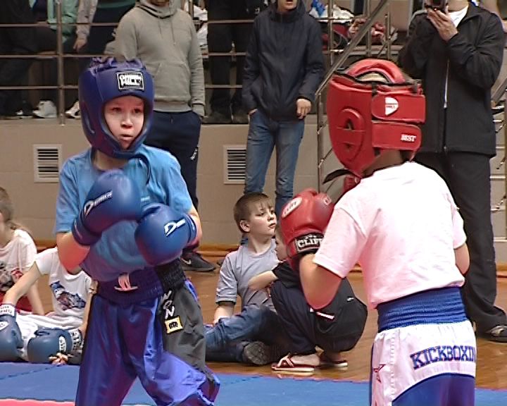 Новый турнир по кикбоксингу собрал самых юных спортсменов
