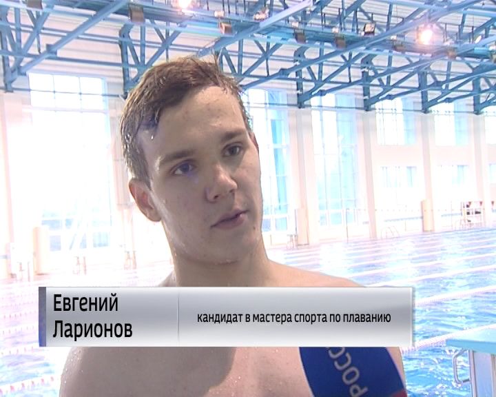 Кандидат в мастера по плаванию. Профессиональные пловчихи мастера спорта. Пловцы соревнования. Книжка мастера спорта по плаванию. Кандидат в мастера по плаванию.