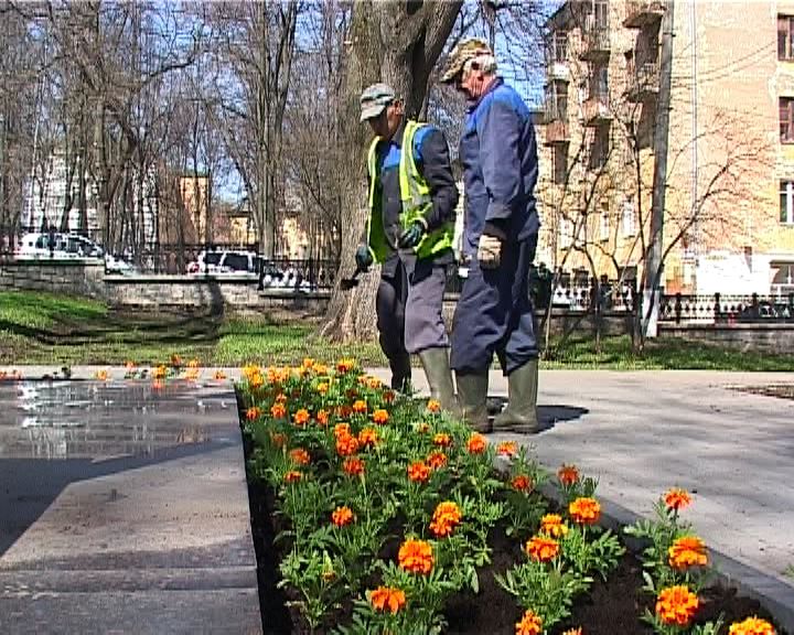 В Кирове стартовал проект 