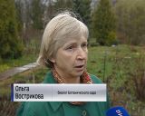 Кировскому ботаническому саду 5 мая исполнится 105 лет