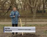 По инициативе сотрудников библиотеки имени Пушкина в Кирове появились Литературная аллея и аллея Дружбы