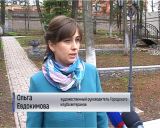 В сквере Кировского городского клуба ветеранов появились кедры и орешники