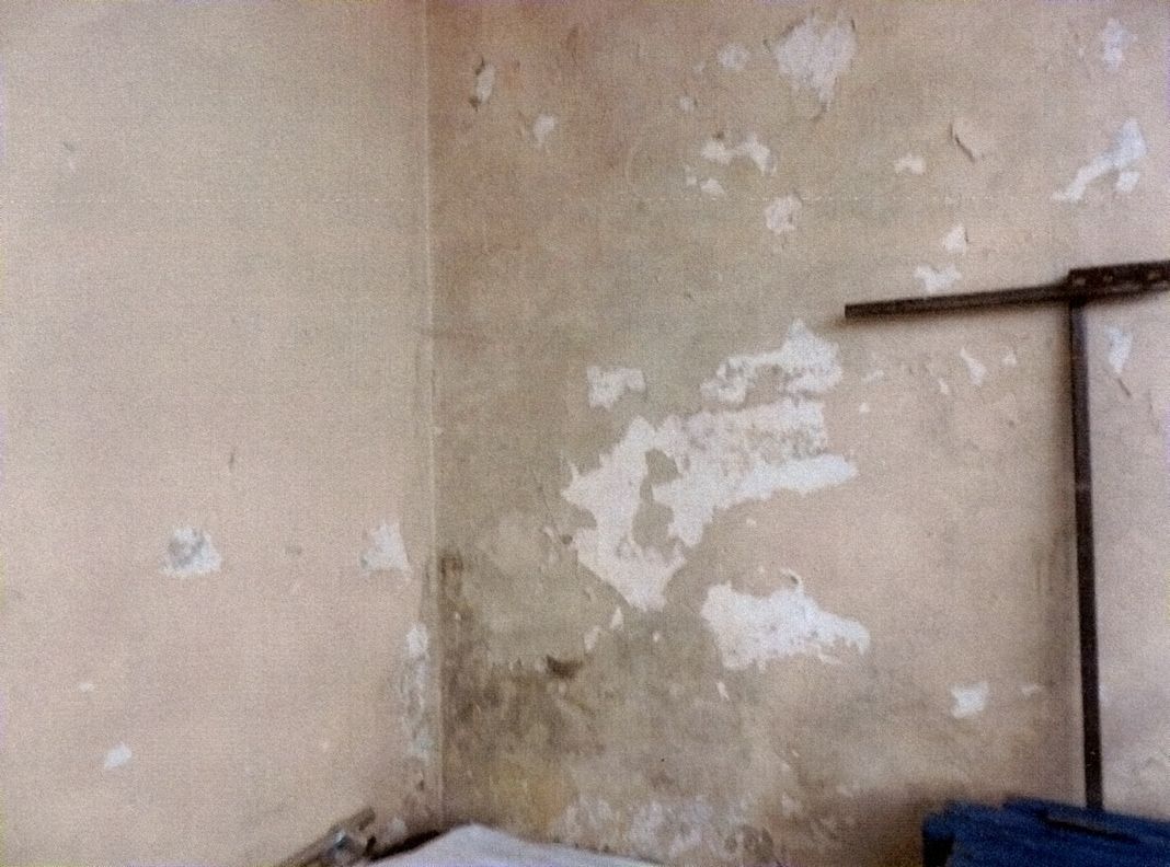 Жители Нововятска пожаловались на плесень в спорткомплексе 