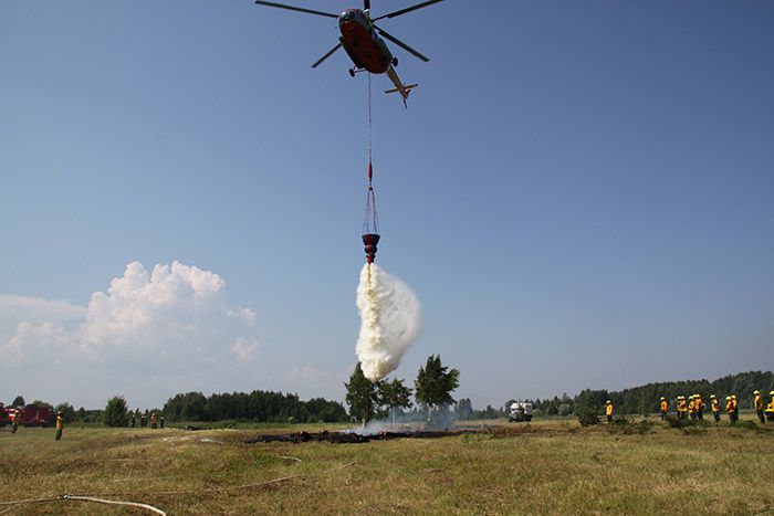Бывшего начальника Кировской базы авиалесоохраны оштрафовали на 150 тысяч рублей.