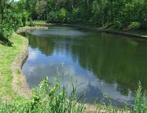 В Вятскополянском районе в пруду утонул 4-летний мальчик.