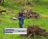 Стихийные свалки во дворах домов на улице Мира города Кирова