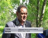 В Кирове началось уничтожение борщевика