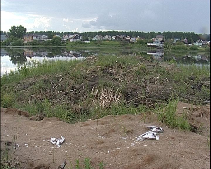 Причина массовой гибели птиц на Столбовском пруду до сих пор не определена