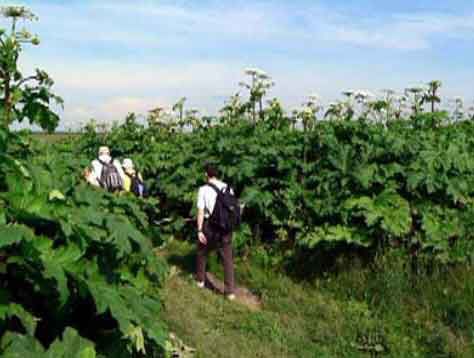 Выпуск информационной программы 