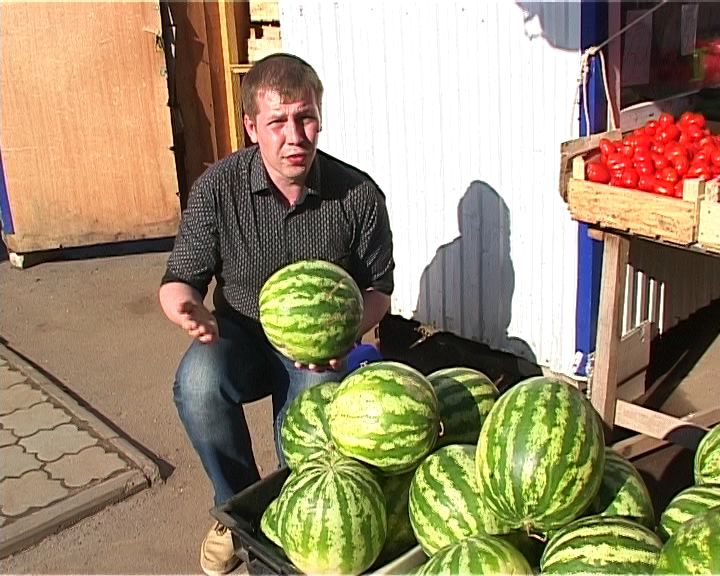 В Кирове появились арбузы первого урожая