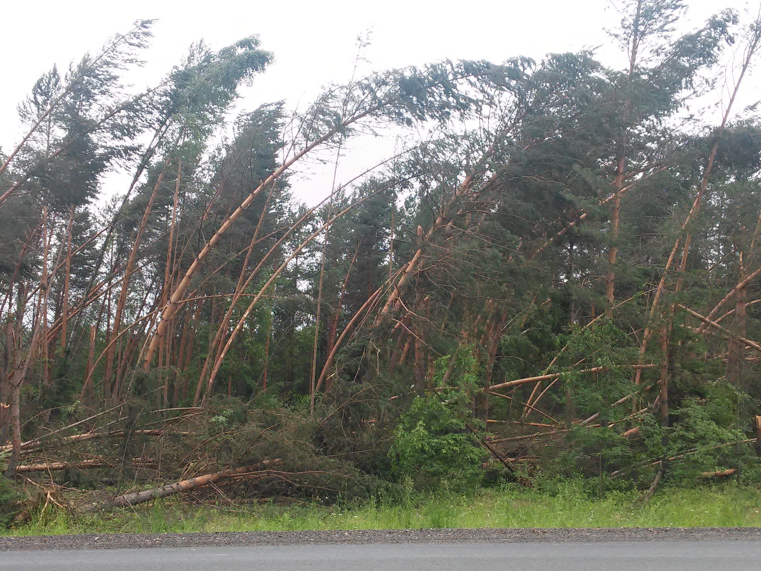 В Кирове сохраняется режим повышенной готовности к ЧС.