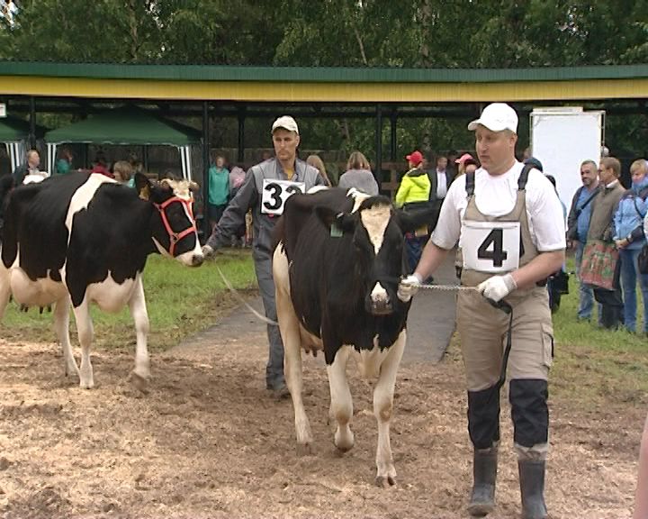Вести. Агро. Племвыставка (22.07.2017)