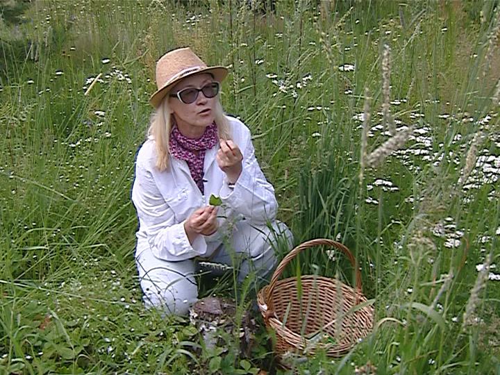 Школа здравого смысла (22.07.2017)