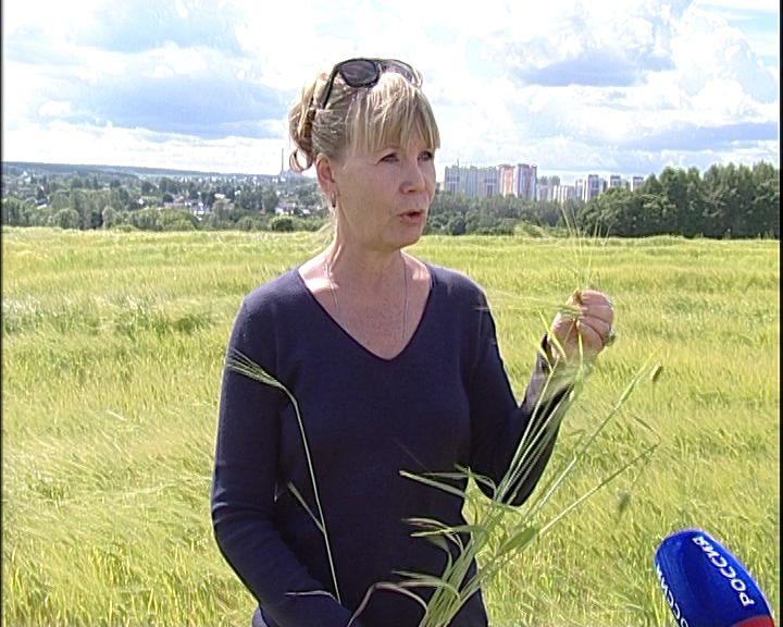 В этом году хозяйства области уже не ждут хорошего урожая