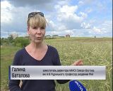 В этом году хозяйства области уже не ждут хорошего урожая