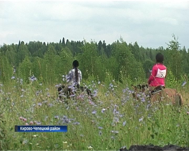 Областной чемпионат по конному туризму