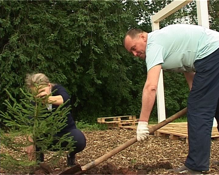 Посадка аллеи на улице Менделеева
