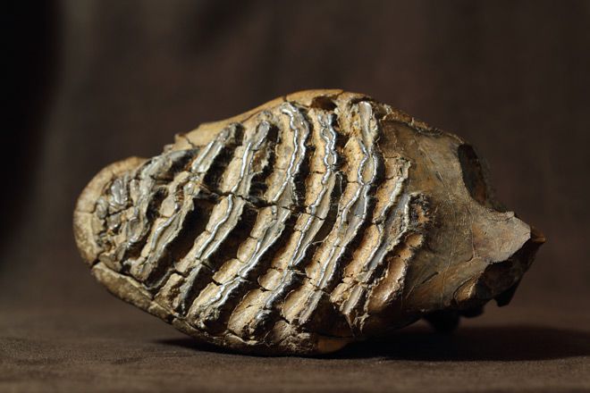 Выпуск информационной программы 