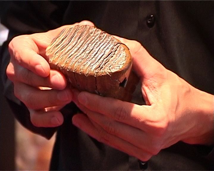 Зуб мамонта