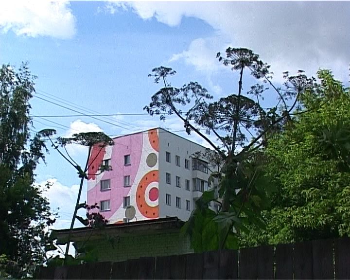 Борщевик уже в центре города