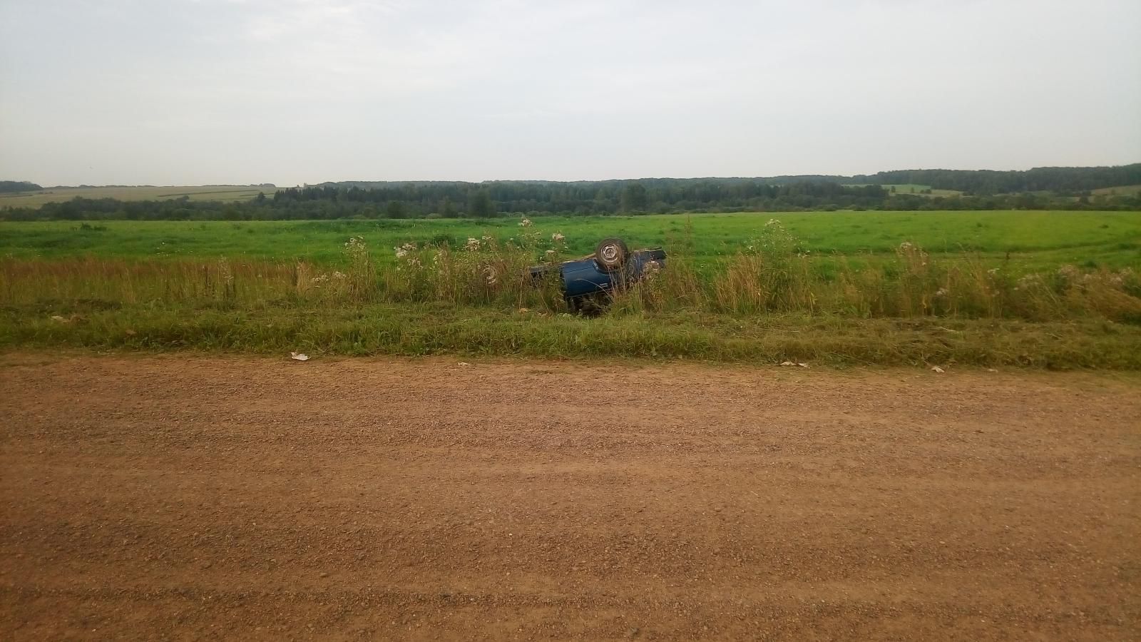 В Немском районе в кювет улетела 