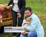 Приют для собак в Слободском