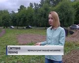 Благоустройство зеленых зон