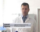 Как не стать жертвой мошенников и не купить "неправильный" мёд?