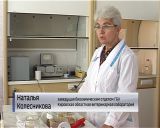 Как не стать жертвой мошенников и не купить "неправильный" мёд?