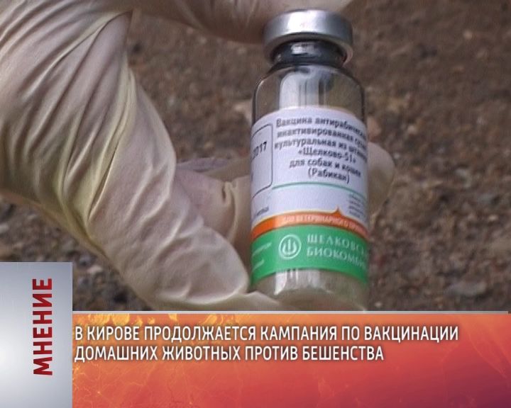 Мнение (15.09.2017)