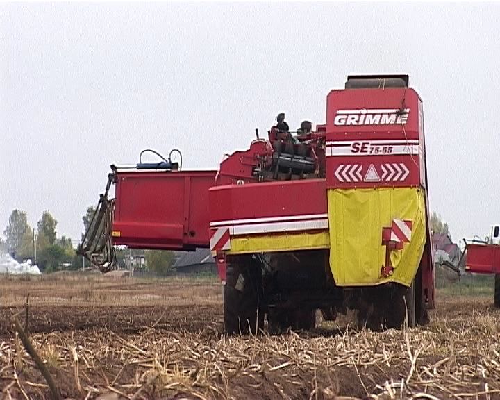 В пригородных хозяйствах Кирова завершили сбор зерновых культур и овощей