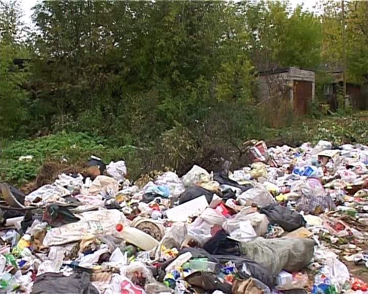 В поселке Новом разрастаются несанкционированные свалки