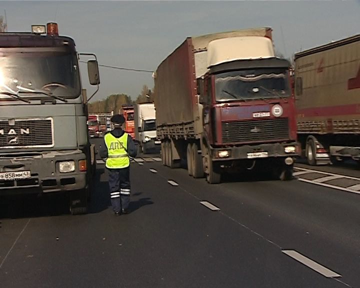 В Кирове усилен ветконтроль из-за вспышки ящура в Башкирии