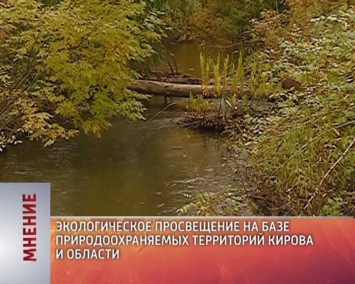 Мнение (13.10.2017)