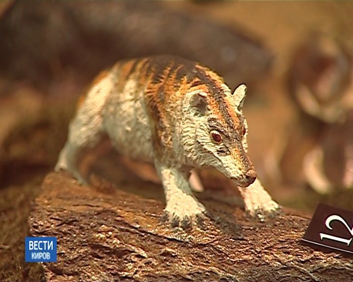 Выпуск информационной программы 