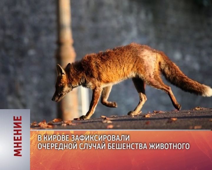 Мнение (30.10.2017)