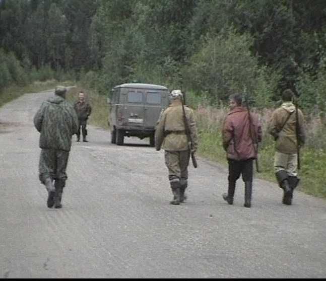 В Кировской области открывается охота на лося