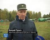 Кировские школьники проверили свои силы в военно-спортивной игре "Зарница"