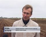 В пригородных хозяйствах Кирова завершили сбор зерновых культур и овощей