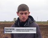 В пригородных хозяйствах Кирова завершили сбор зерновых культур и овощей